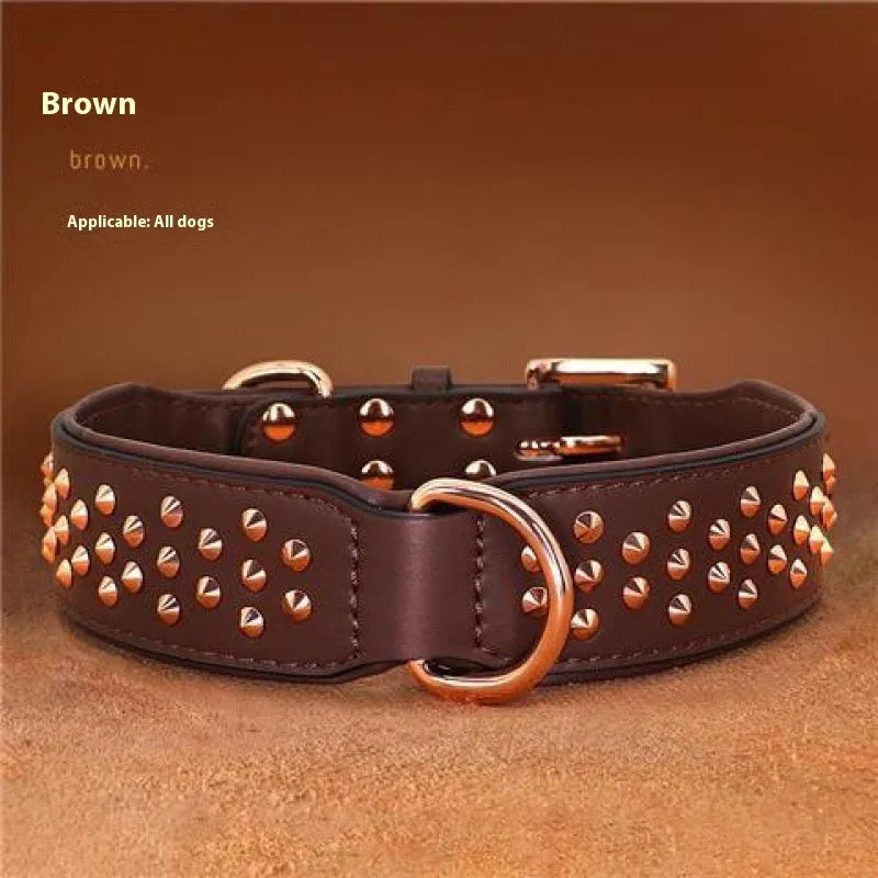 Leather dog collar in chocolate colour with visible rivets, shown on a large dog.