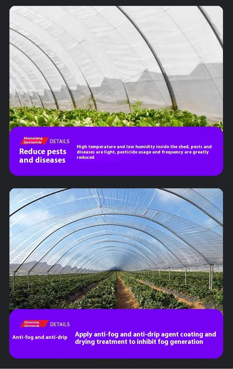 4 metre by 8 metre plastic greenhouse film sheet for vegetable shed insulation