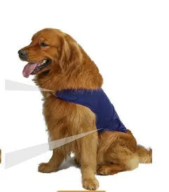 Dog wearing brocade cotton ponte de roma calming vest for separation anxiety in tank top style