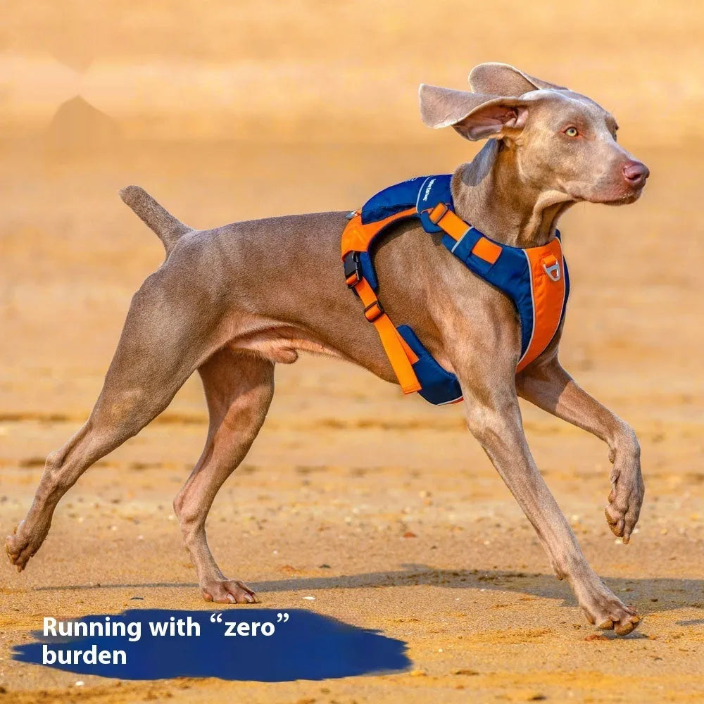 Orange blue nylon dog chest strap vest with hand rope leash, adjustable for secure walking
