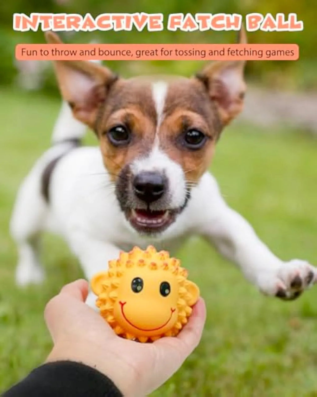Latex squeaky dog toy with spiky texture in animal shape for small medium dogs