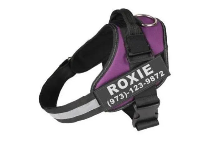 A reflective adjustable no-pull dog harness in a vest style, shown on a dog with a personalised patch.