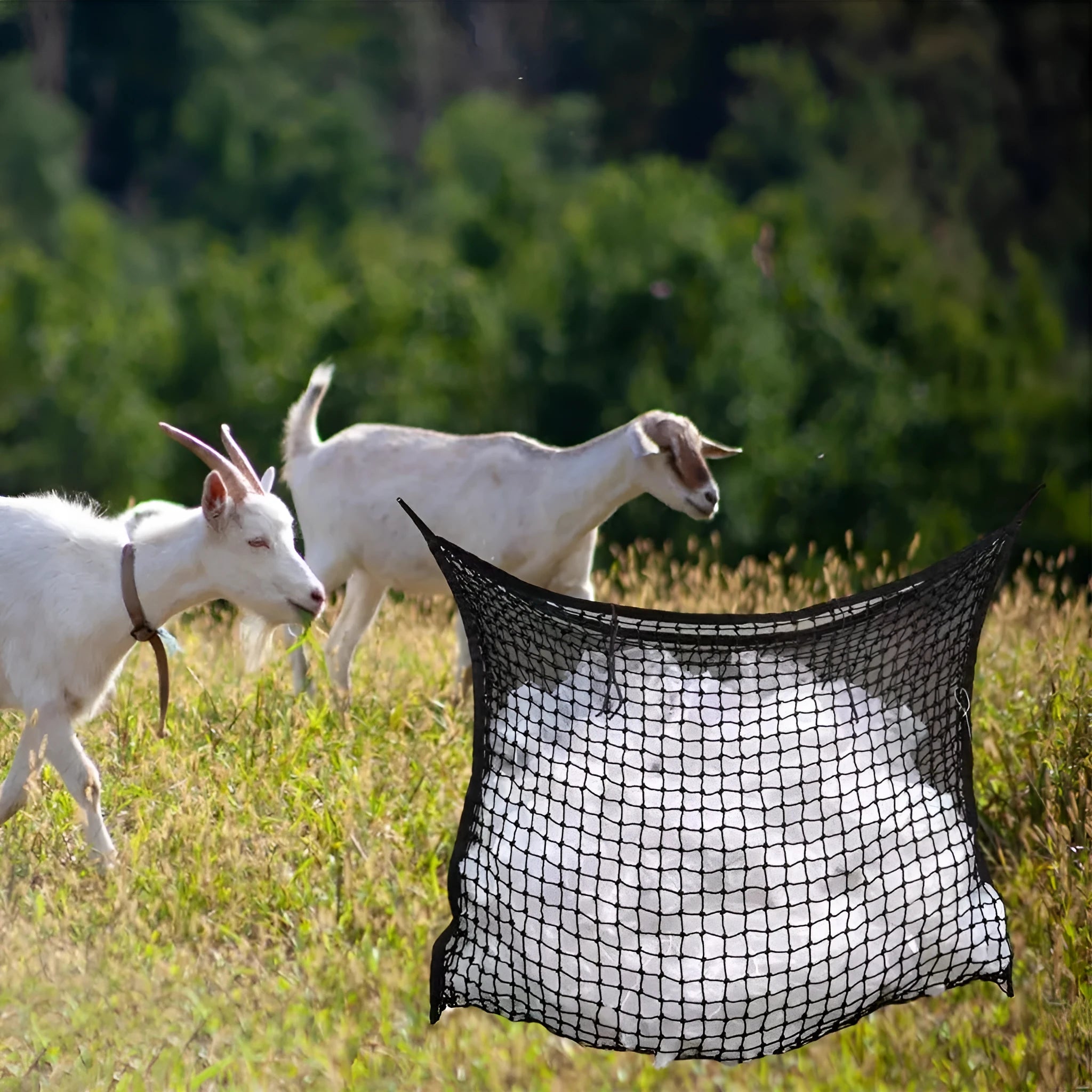 Woven grid horse hanging feeding bag in black colour with PE rope construction