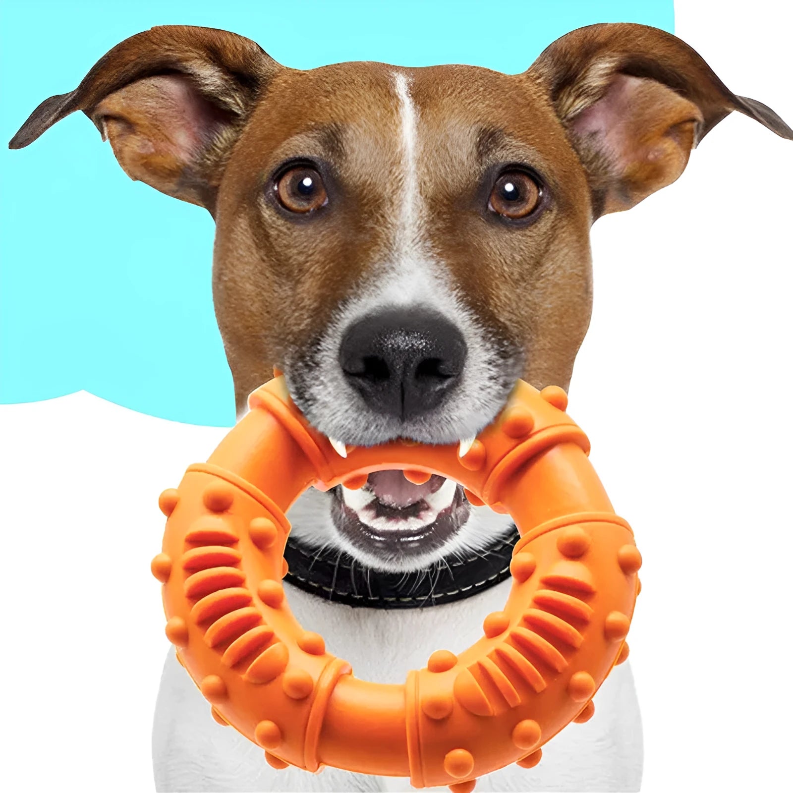 Blue hollow dog fetching stick toy for chew and fetch games with puppies and large dogs