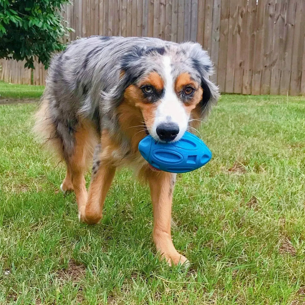 Blue natural rubber squeaky dog chew ball with surface grooves for medium and large breed dogs