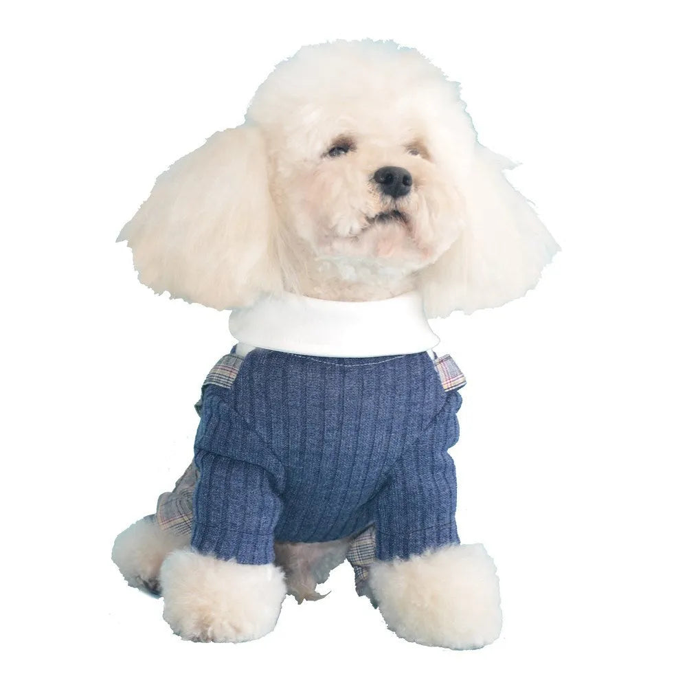 Cotton dog suit shirt for small dogs in orange and dark blue colours with size options