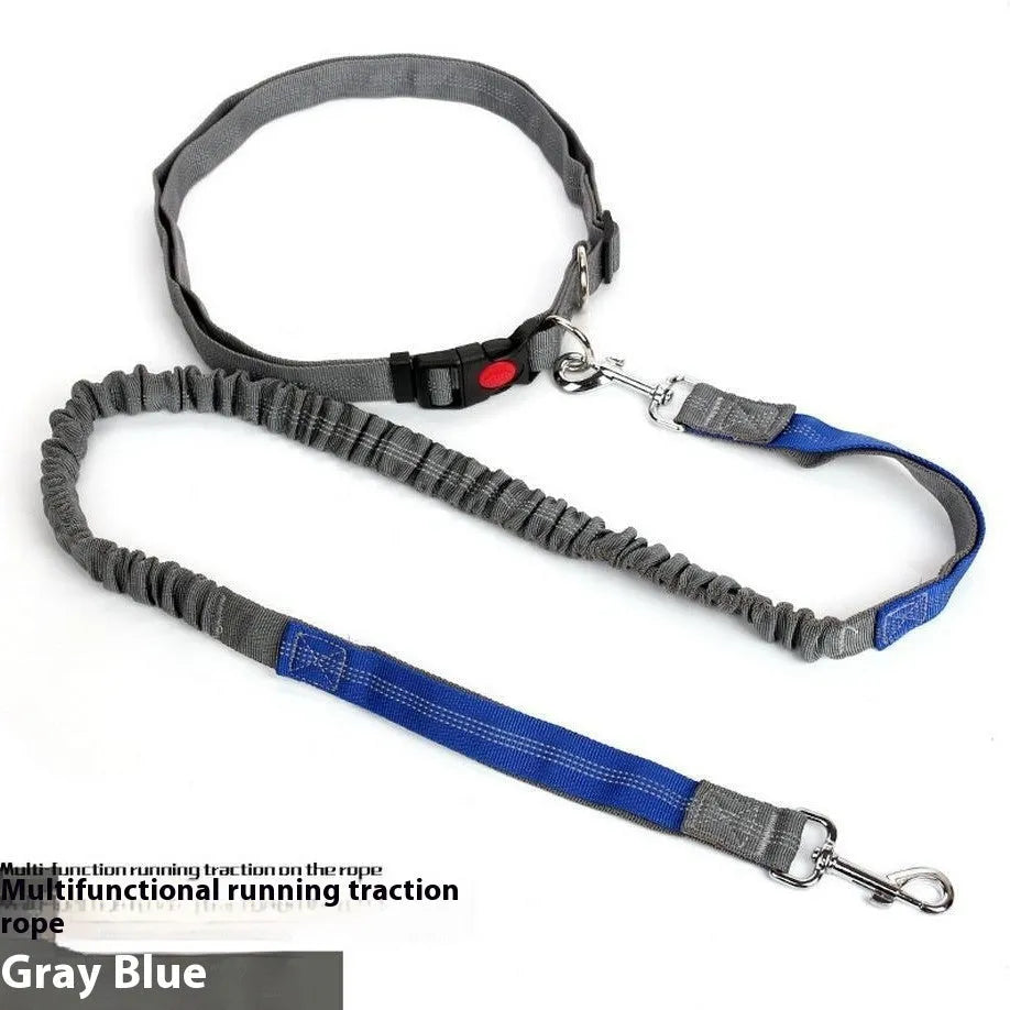 Grey and blue reflective nylon dog leash with elastic sling section for outdoor running.