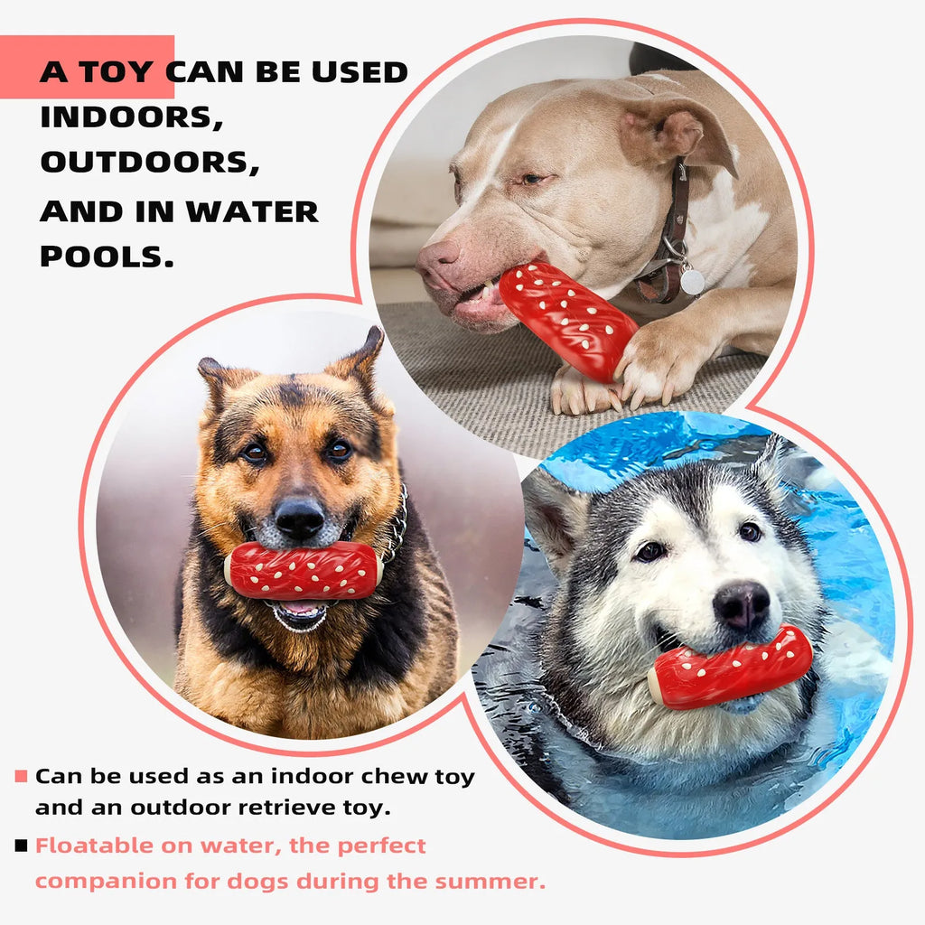 Primary colour plastic dog chew toy with textured molar rod surface and snack compartment