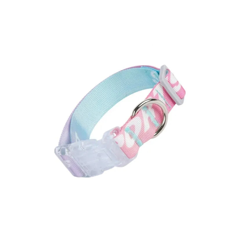 Cartoon gradient printing dog collar with adjustable plastic buckle in nylon material