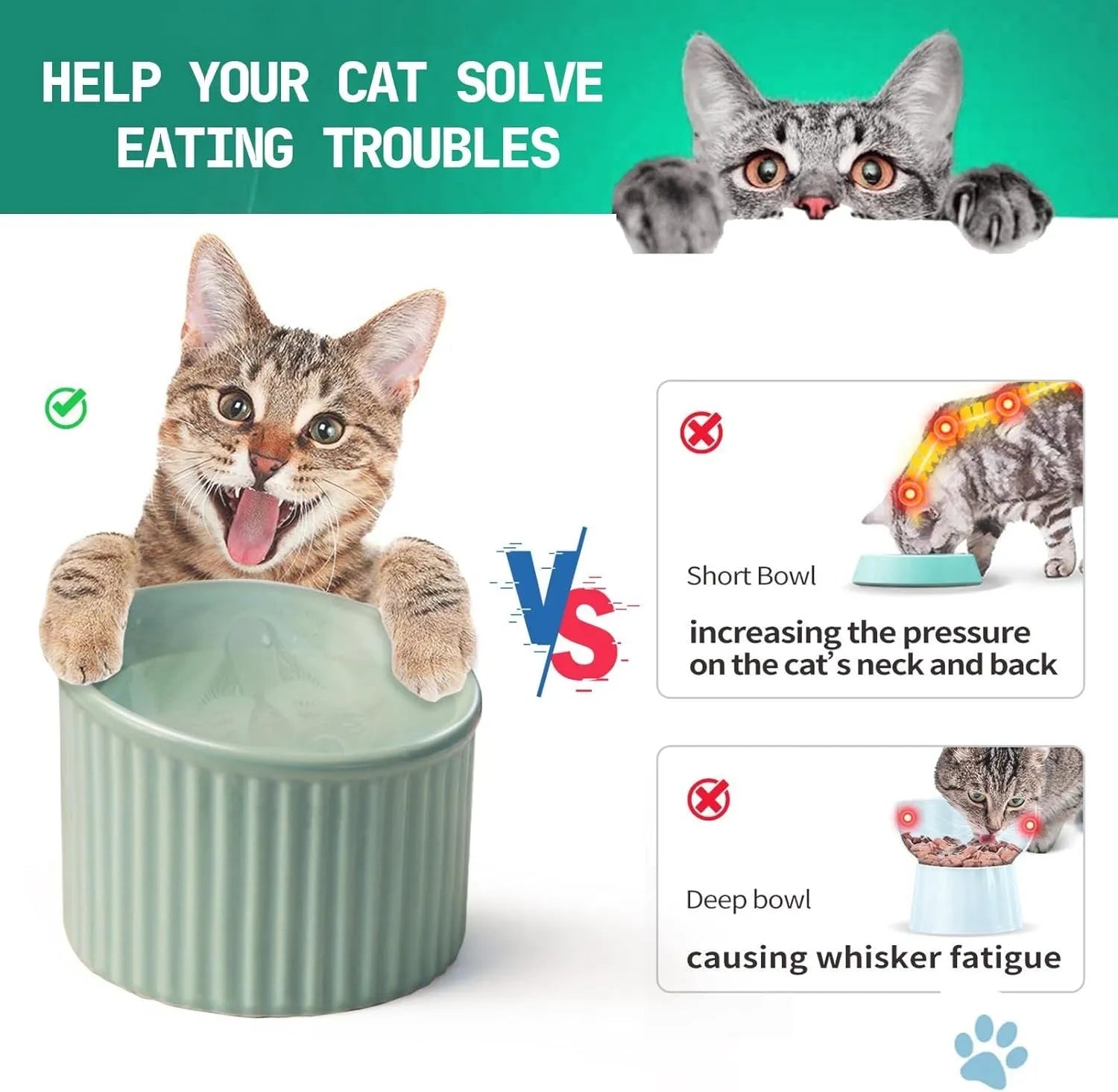 Elevated ceramic cat bowl in green colour with tilted design for whisker-friendly feeding