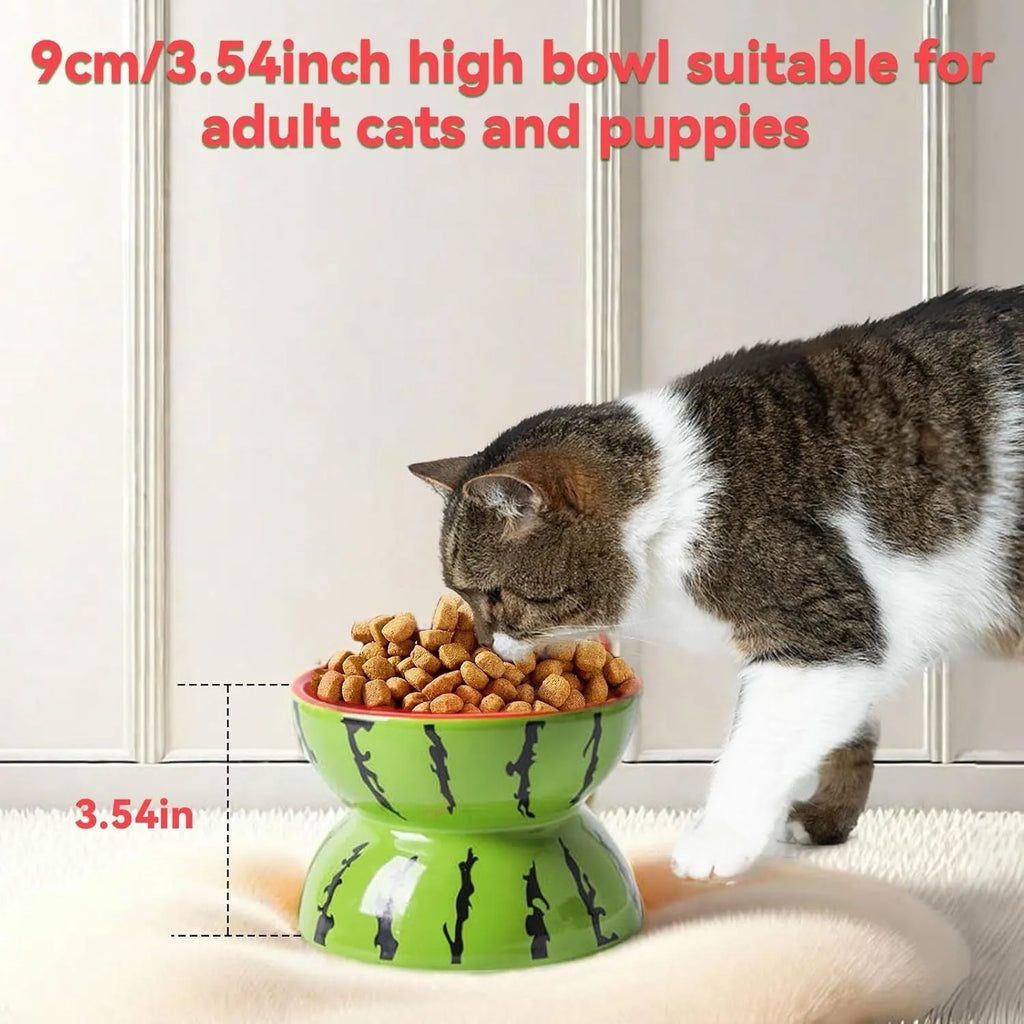 Ceramic raised cat bowl with tilted angle and fruit pattern