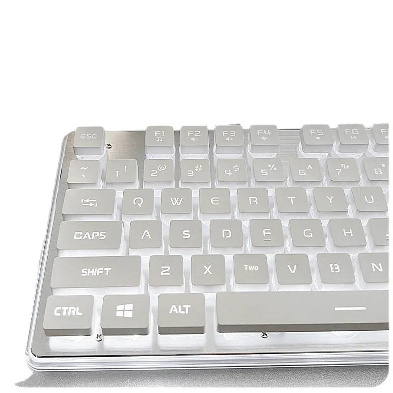 Wired computer keyboard with mute button and blue backlighting on a desk