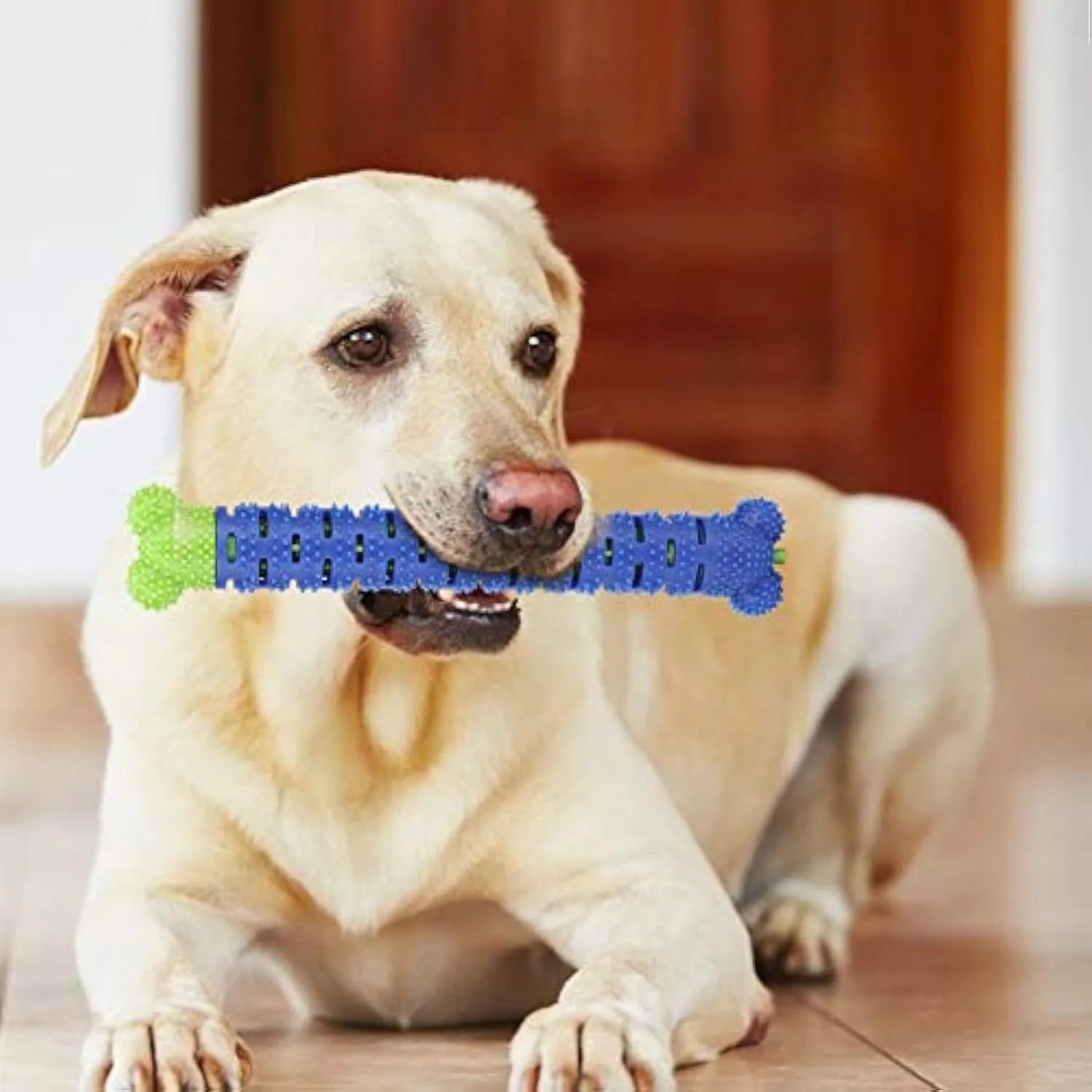 Blue and green dog dental chew toy with brush head texture and massage nodules, 25cm long