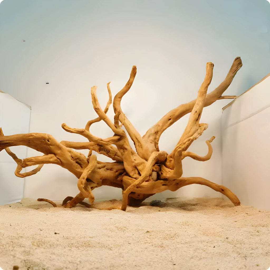 Xiaoqi root natural wood aquarium ornament for fish tank scenery decoration in small size.