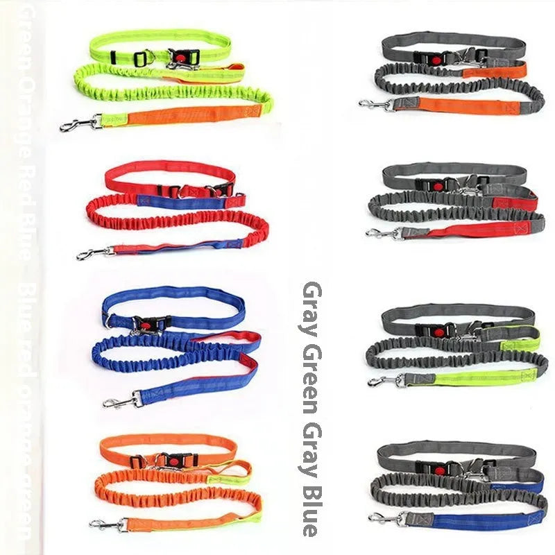 Grey and blue reflective nylon dog leash with elastic sling section for outdoor running.
