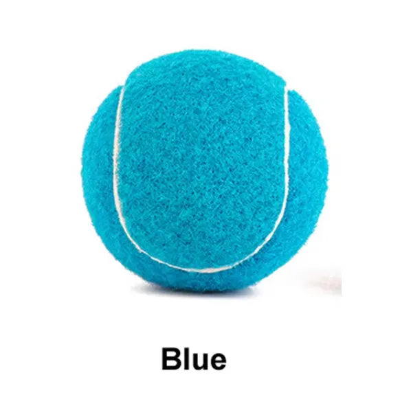 Colourful 6.3cm diameter rubber dog tennis ball toy in blue, green, pink, and red on a white background.