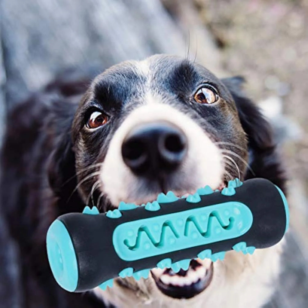 A natural rubber dog toothbrush chew toy in blue colour, showing its textured surface and stick shape.