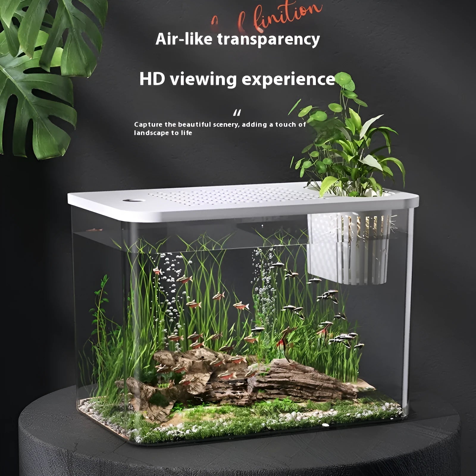 Black ecological betta fish tank with cover measuring 32cm long by 18.5cm wide by 23cm high