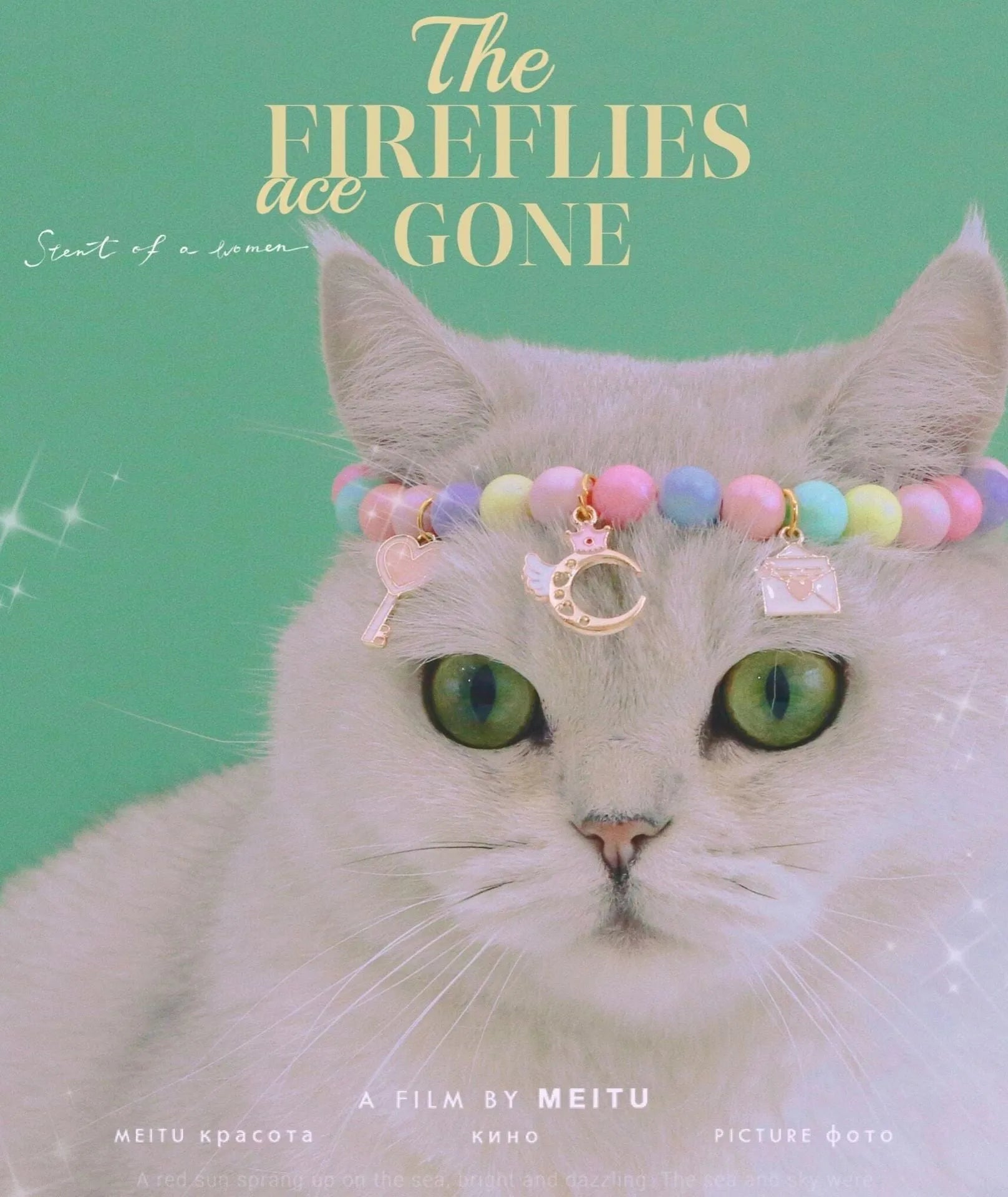 Colourful macaron pet collar with resin beads in six designs and adjustable sizing for small animals