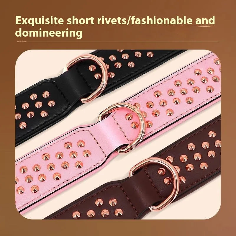 Leather dog collar in chocolate colour with visible rivets, shown on a large dog.