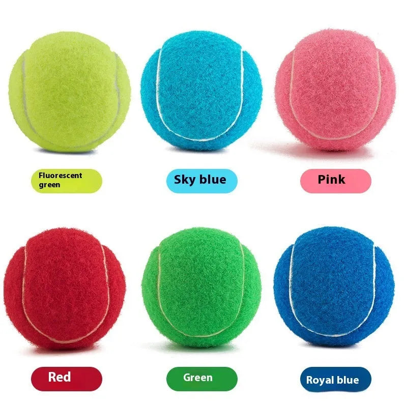 Colourful 6.3cm diameter rubber dog tennis ball toy in blue, green, pink, and red on a white background.