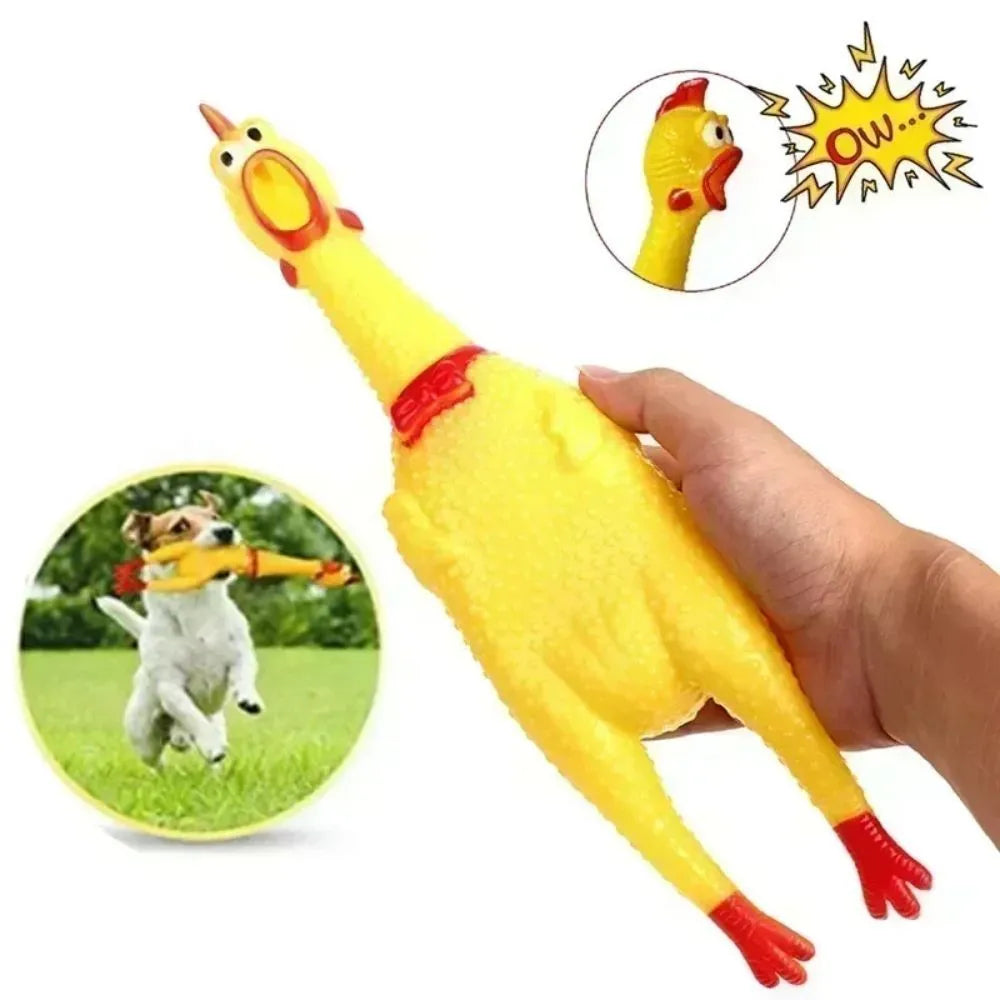 Yellow rubber screaming chicken dog toy shown in three sizes for different breed dogs