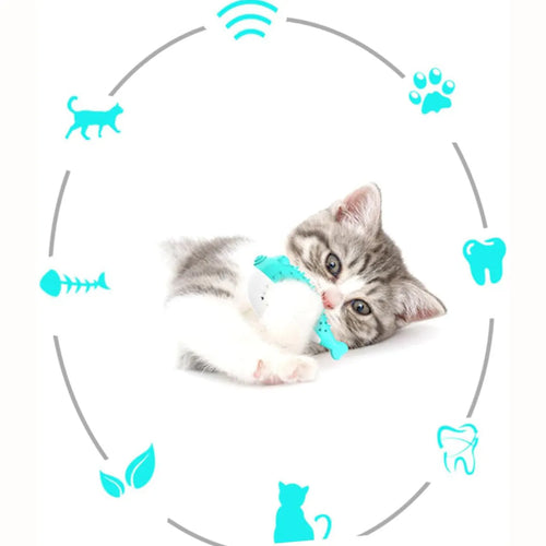 Blue silicone fish cat chew toy measuring 12.2cm for grabbing and teeth cleaning