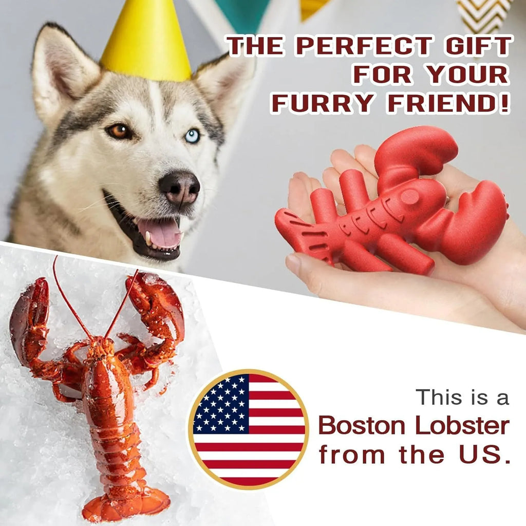 Red hard nylon dog chew toy for large breeds on a white background