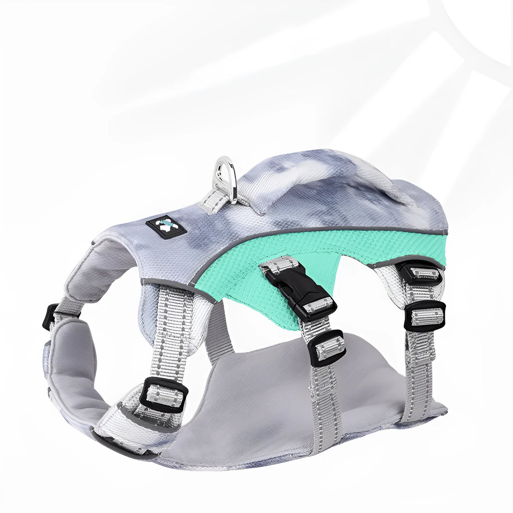 Reflective blue polyester chest strap harness for dogs on a lead, showing adjustable fit.