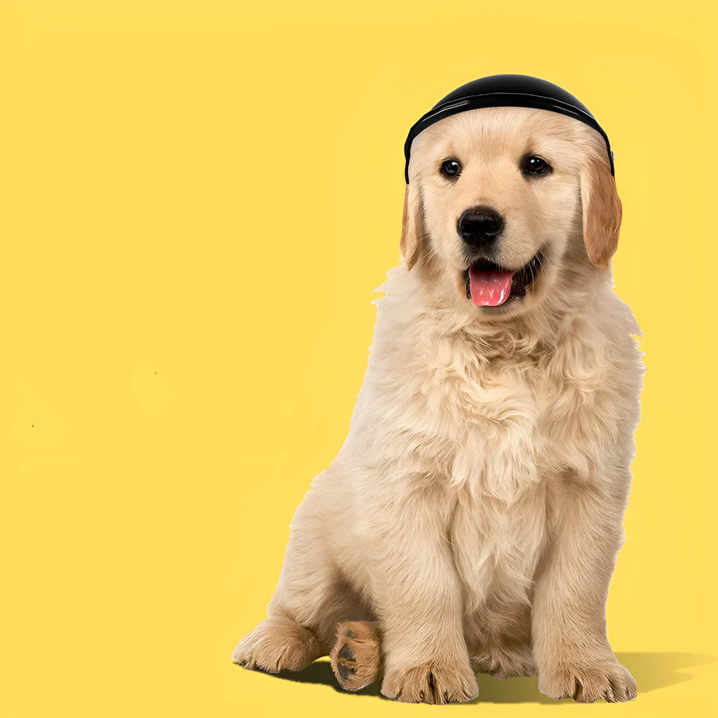 S size plastic pet helmet for motorcycle safety in black, green, pink or yellow monochrome colours