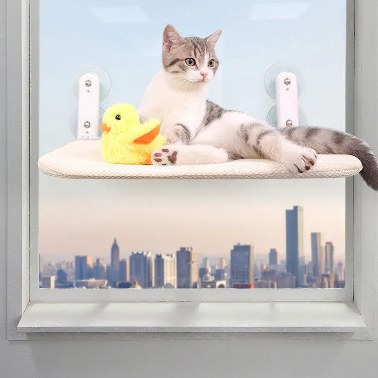 Cat window hammock with stainless steel frame and suction cups mounted on glass