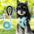 Blue polyester dog vest harness with an attached hand-held rope for walking.