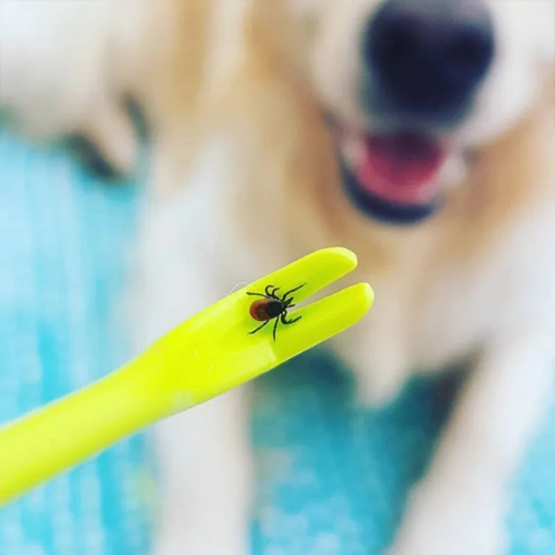 Three plastic pet tick removal hooks in blue or green colours