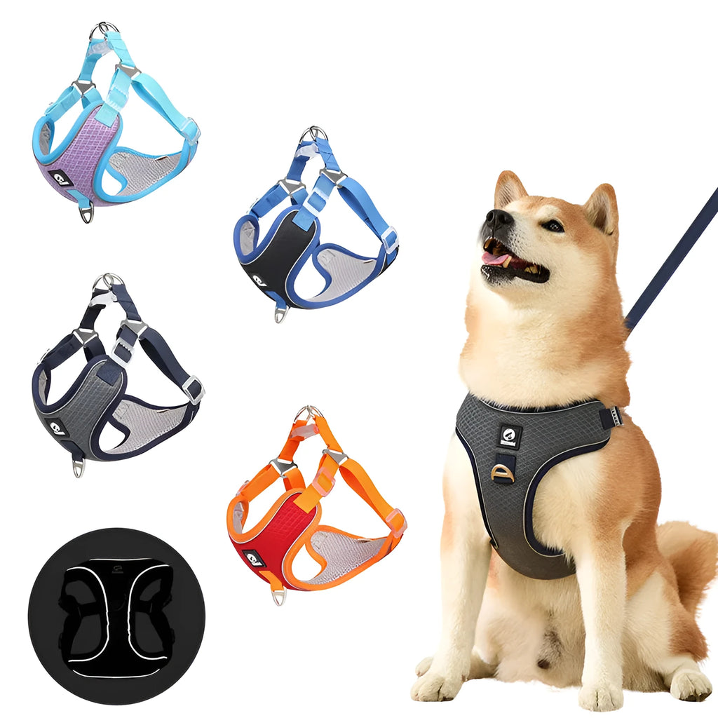 Adjustable dog harness with reflective piping in black, red, gray or light purple colours