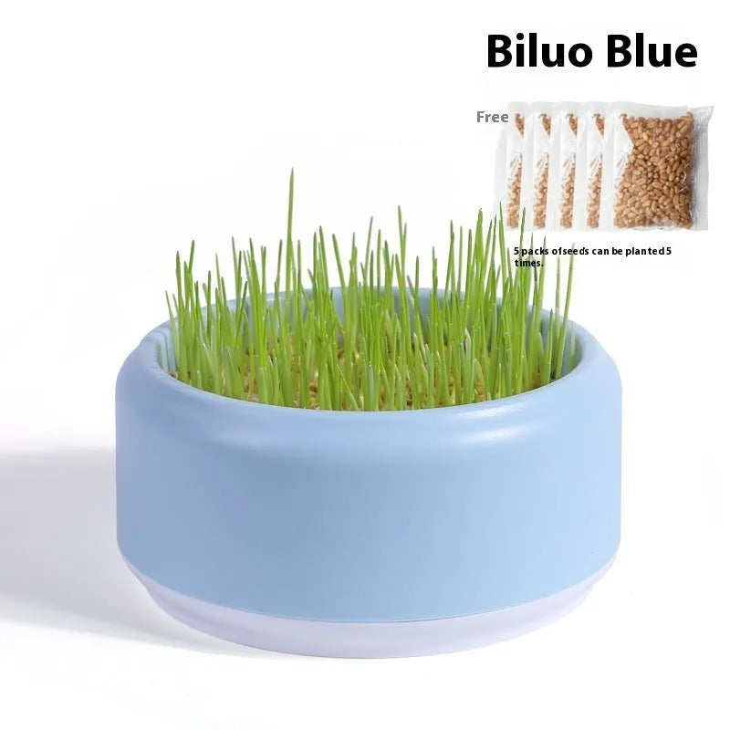 Blue, green, and yellow hydroponic cat grass kits with wheatgrass seeds on a white background.