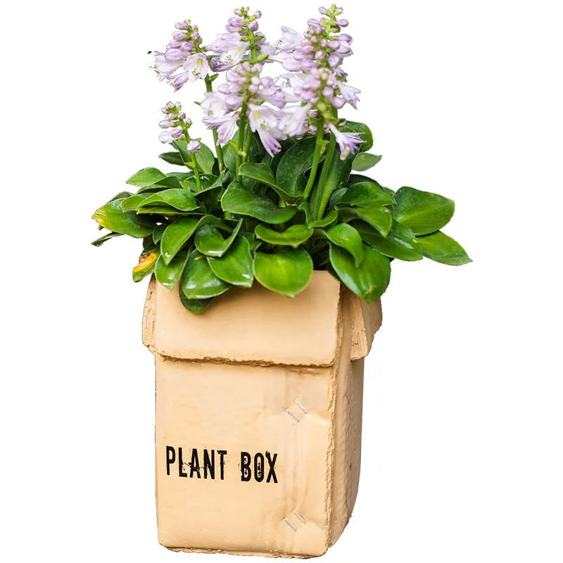 Cement flowerpot with brown paper box design featuring drainage holes