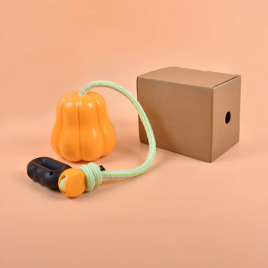 Orange pumpkin-shaped plastic dog toy with textured surface and rope attachment for chewing and fetch games