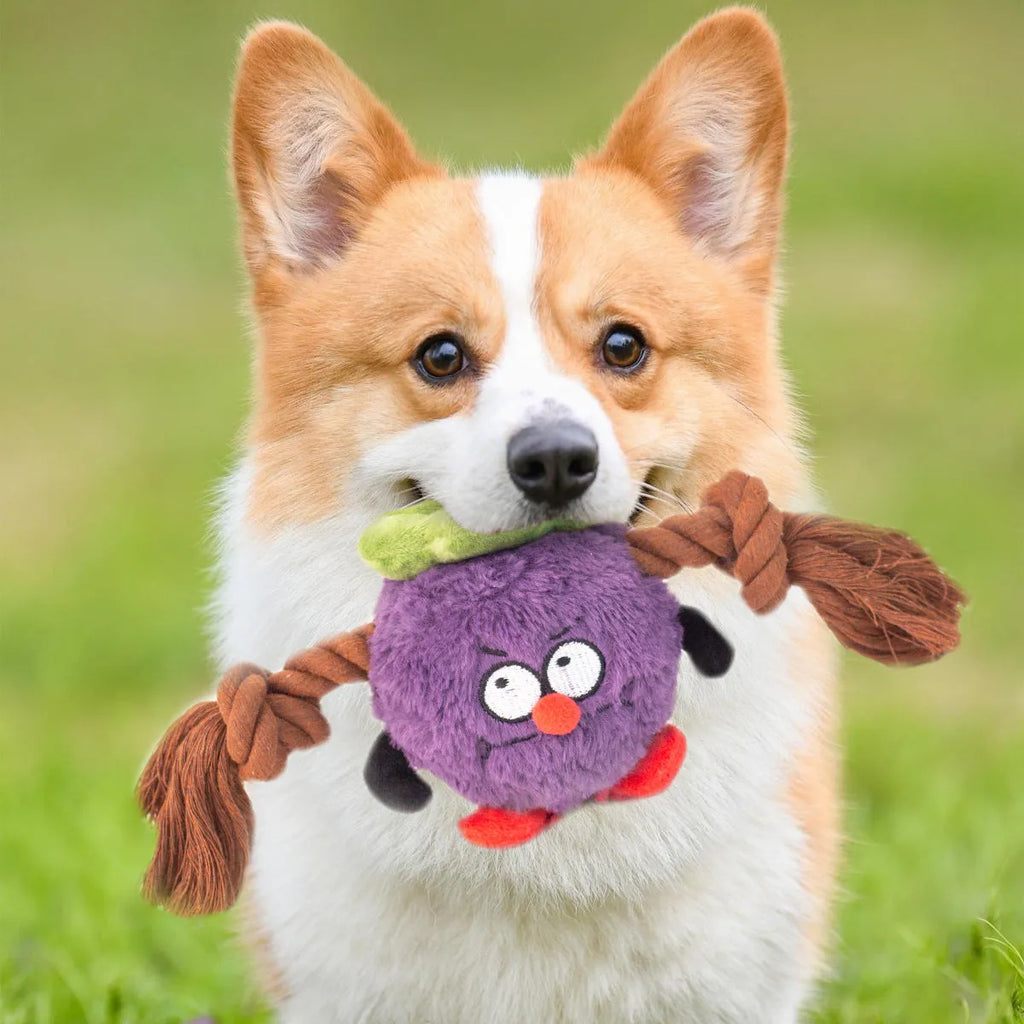 Green and purple plush rope knot dog toy with molar tooth texture for interactive tug play