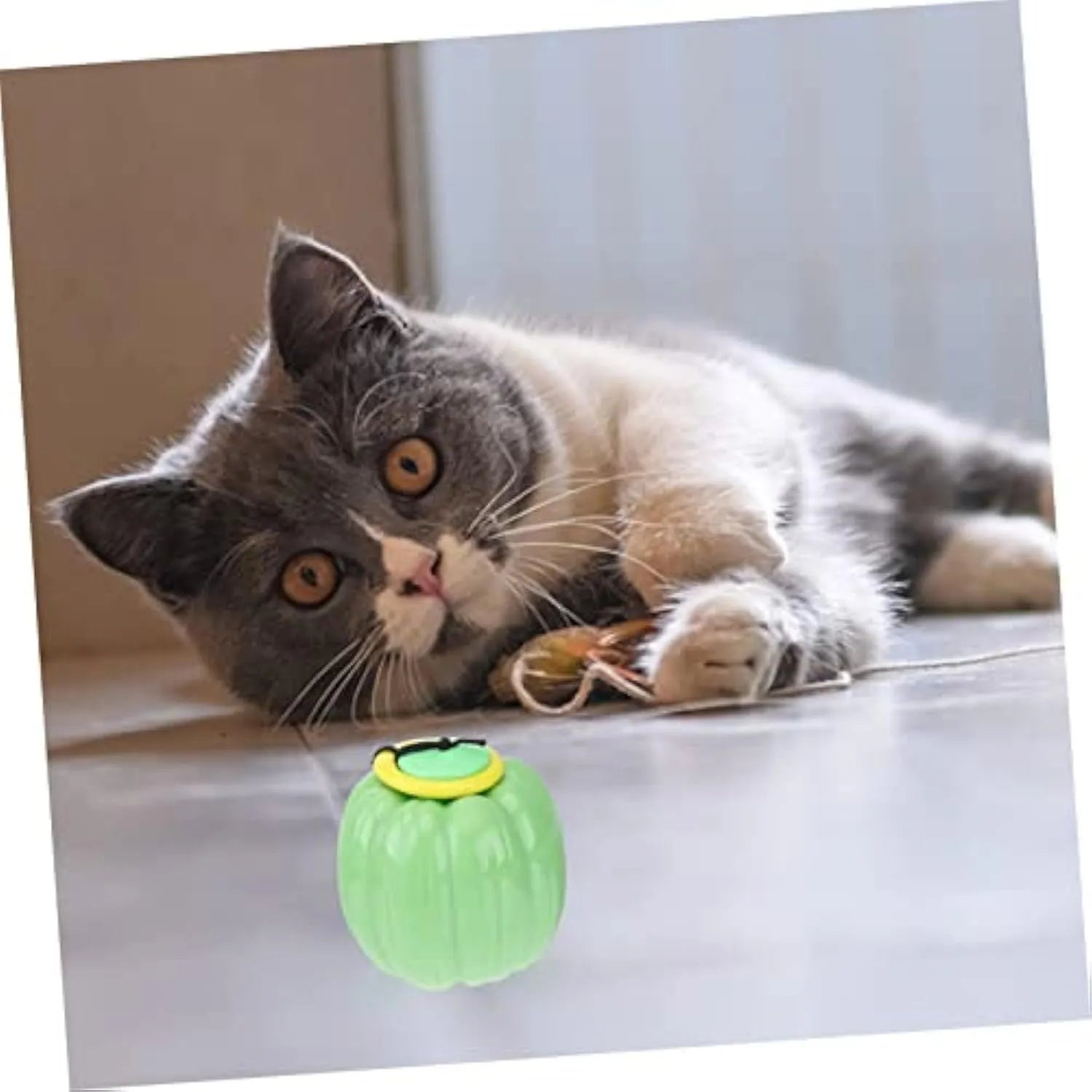 Green, orange, and yellow plastic pumpkin-shaped dog toy with squeaker for small dogs