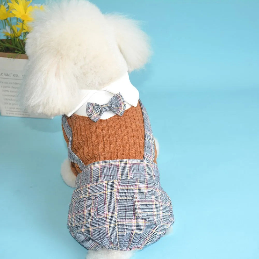 Cotton dog suit shirt for small dogs in orange and dark blue colours with size options