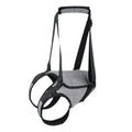 Grey neoprene dog rear leg recovery support belt shown on a size chart.