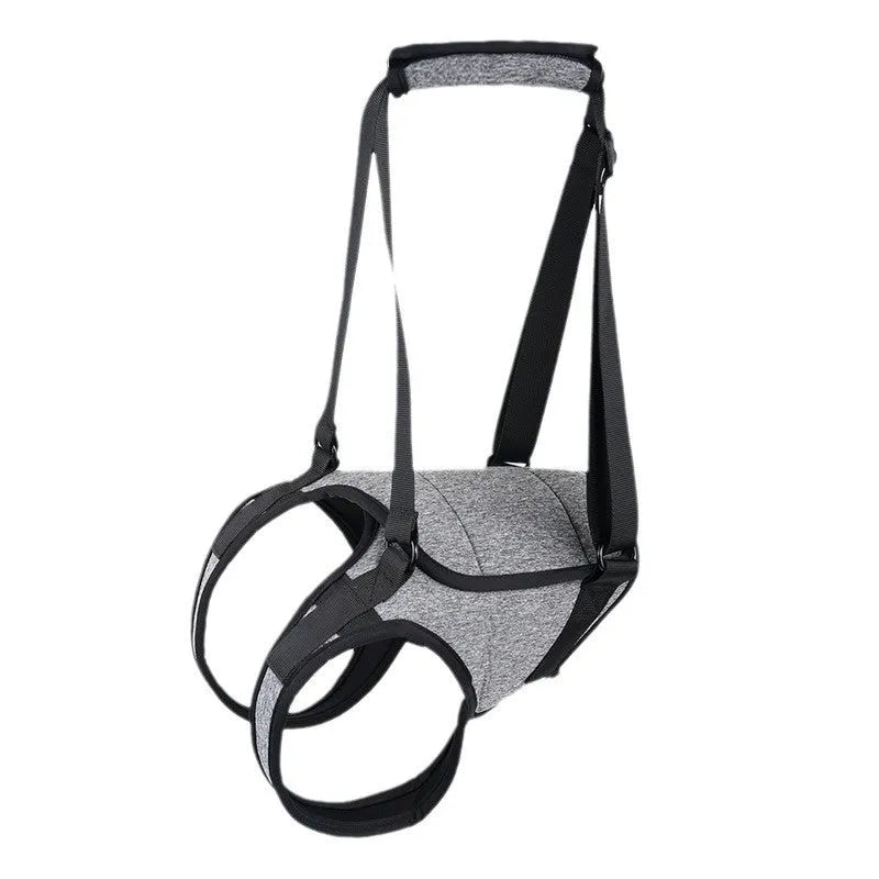 Grey neoprene dog rear leg recovery support belt shown on a size chart.