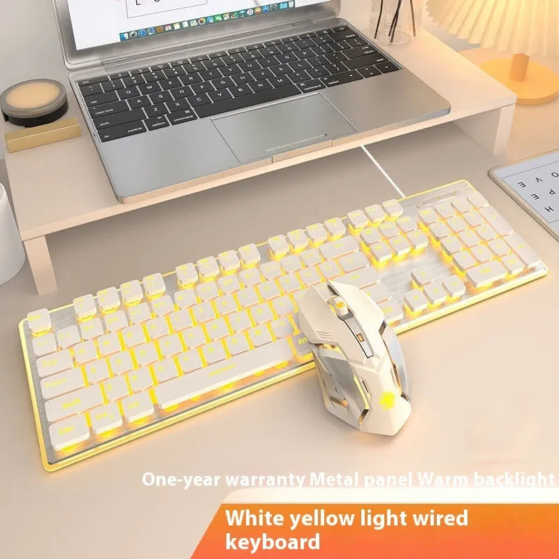 Wired computer keyboard with mute button and blue backlighting on a desk