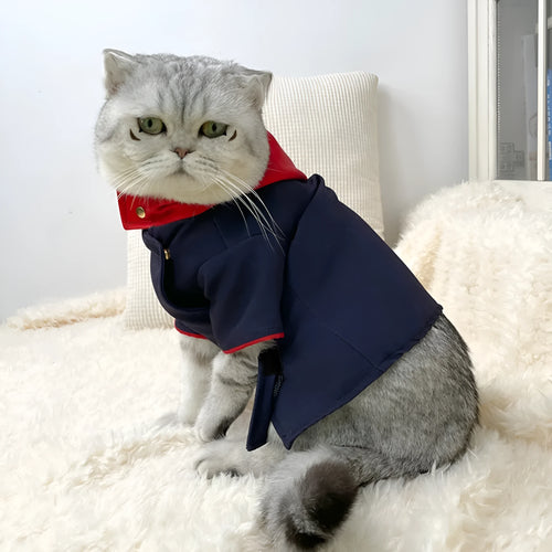 Tiger staff yuren coloured hoodie for cats and dogs as photography prop