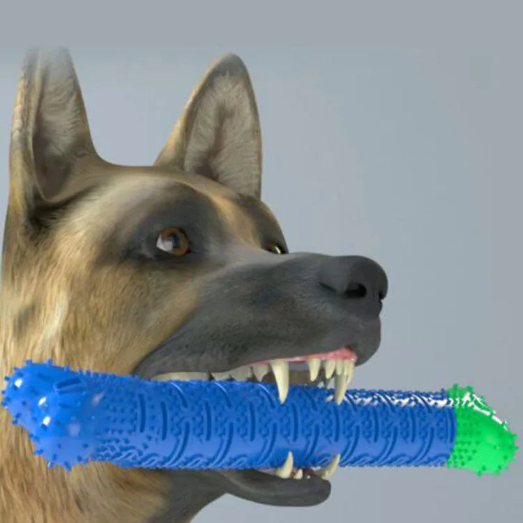 Blue and green dog dental chew toy with brush head texture and massage nodules, 25cm long