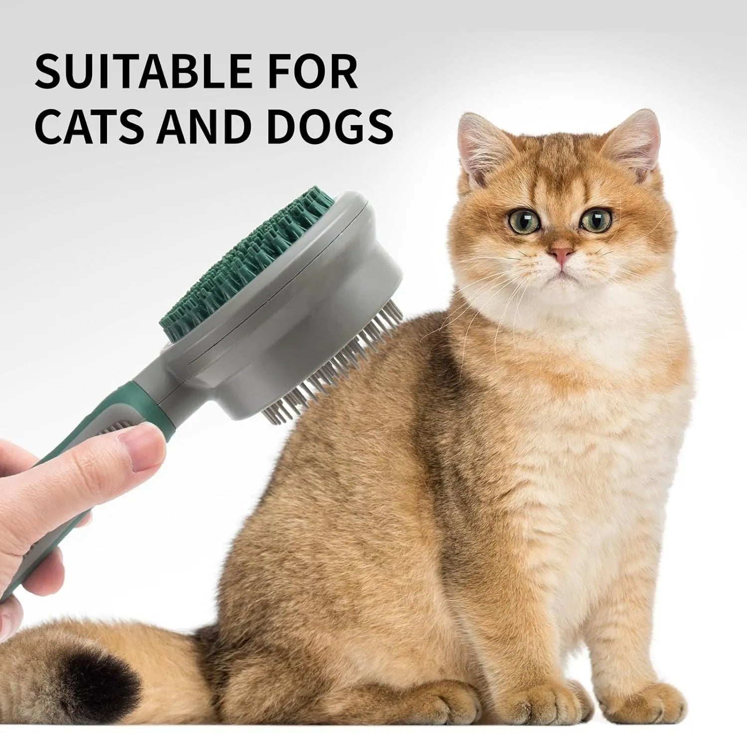 Green and pink 2in1 silicone pet brush showing slicker brush side and octopus-teeth massager side