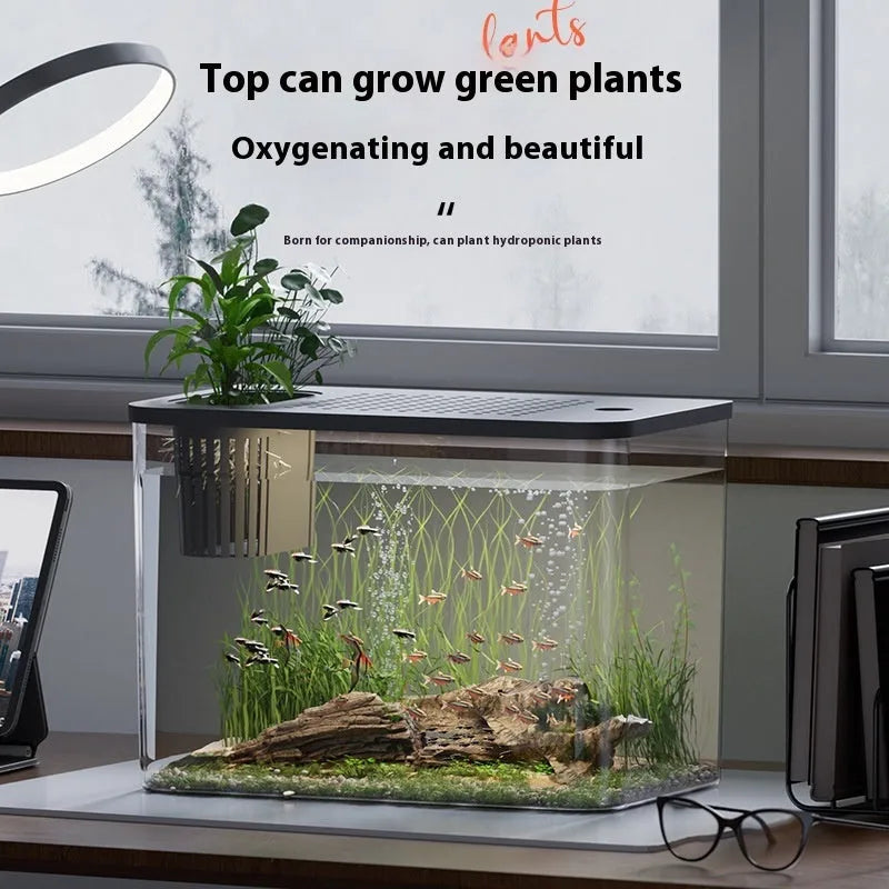 Black ecological betta fish tank with cover measuring 32cm long by 18.5cm wide by 23cm high