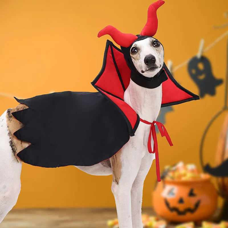 Black polyester vampire cloak and hat costume for a cat or small dog on a white background.