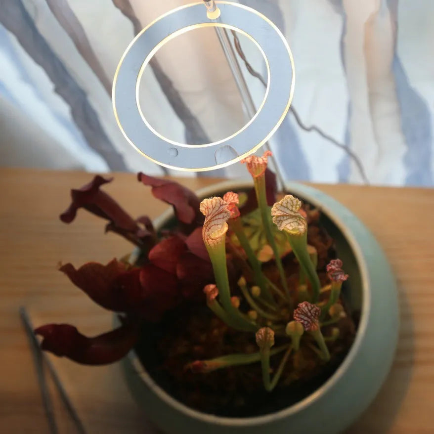 USB-powered LED plant grow light with full spectrum yellow LEDs, acrylic mounting stick, in pink/white colour.