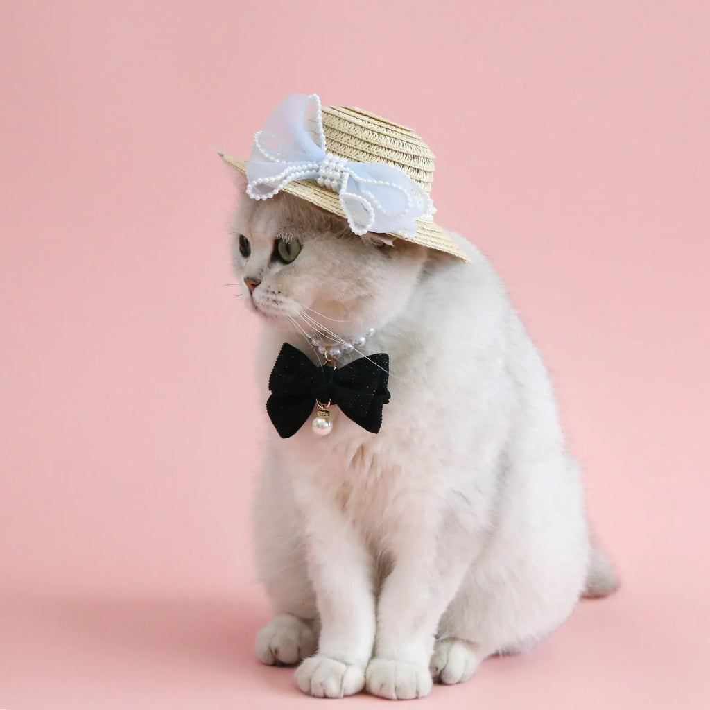 Princess-style cat hat with decorative pearl butterfly bow, woven from Lafite leaves.